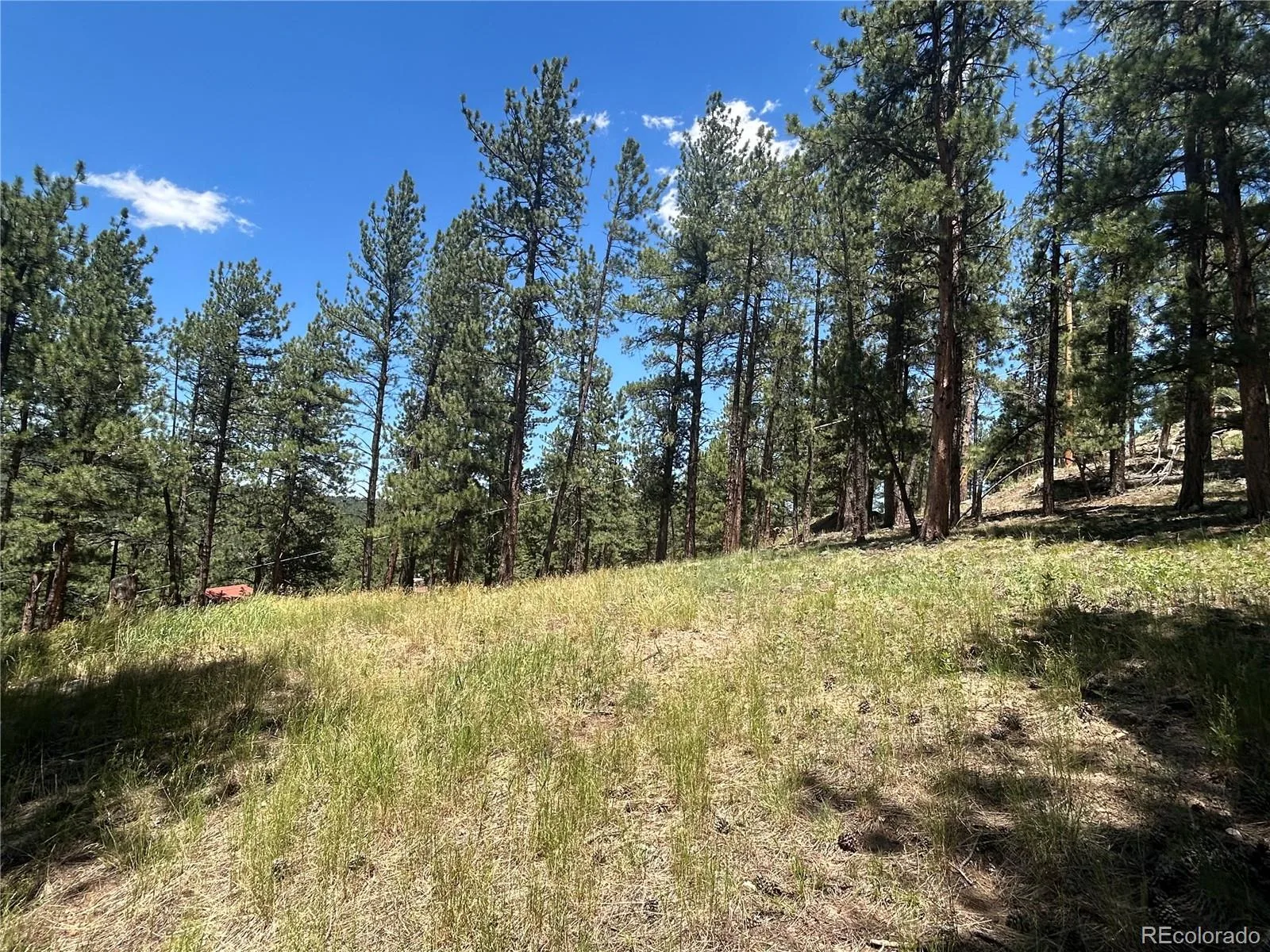 pine Pine Evergreen CO 80439 | MLS #REC2409364 06292026225745 1600 5
