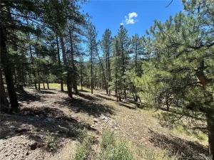 pine Pine Evergreen CO 80439 | MLS #REC2409364 06292026225745 300 0