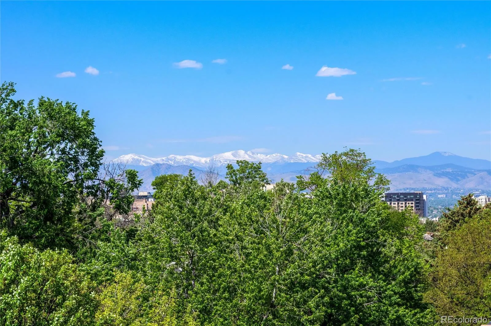 1200 N Humboldt Street #602 Denver CO 80218 MLS #REC2417681 05152026194323 1600 16