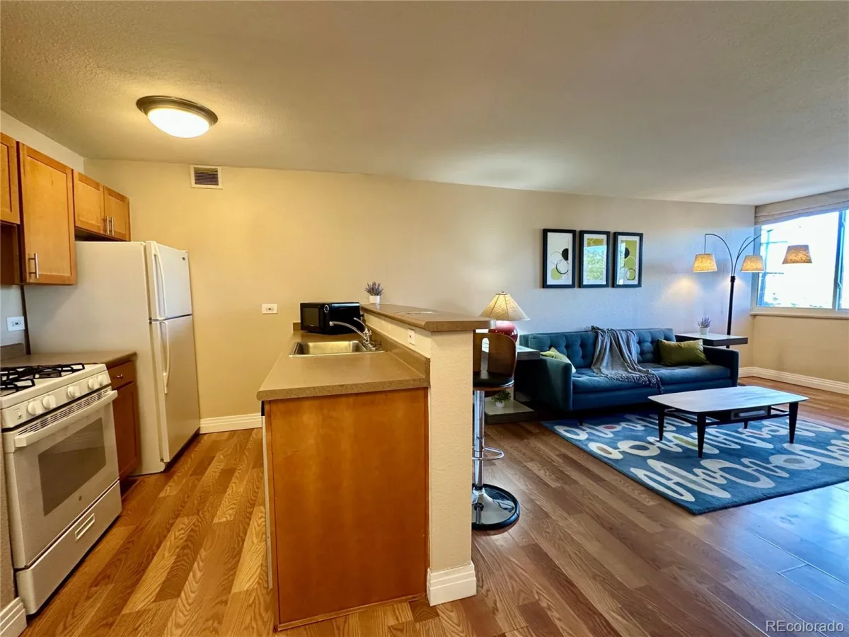 1196 N Grant Street #407 Denver CO 80203 MLS #REC2421539 06092026024917 1200 2