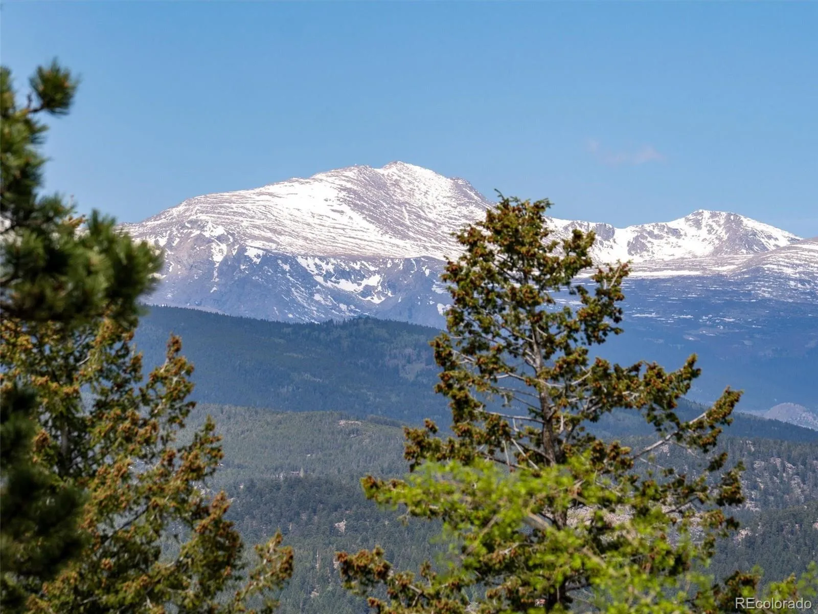26761 Hilltop Road Evergreen CO 80439 | MLS #REC2426752 08162026050227 1600 2
