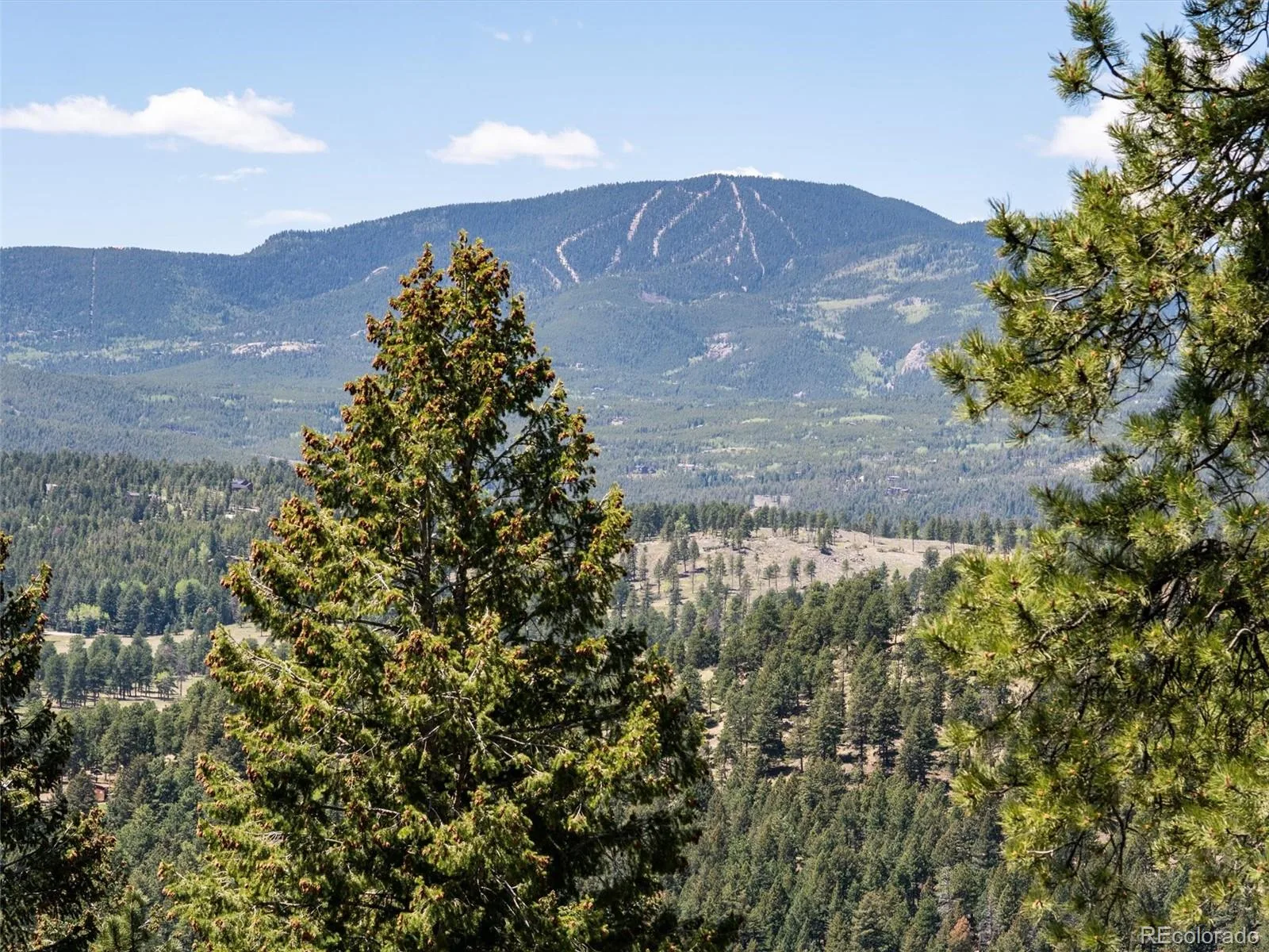 26761 Hilltop Road Evergreen CO 80439 | MLS #REC2426752 08162026050227 1600 35