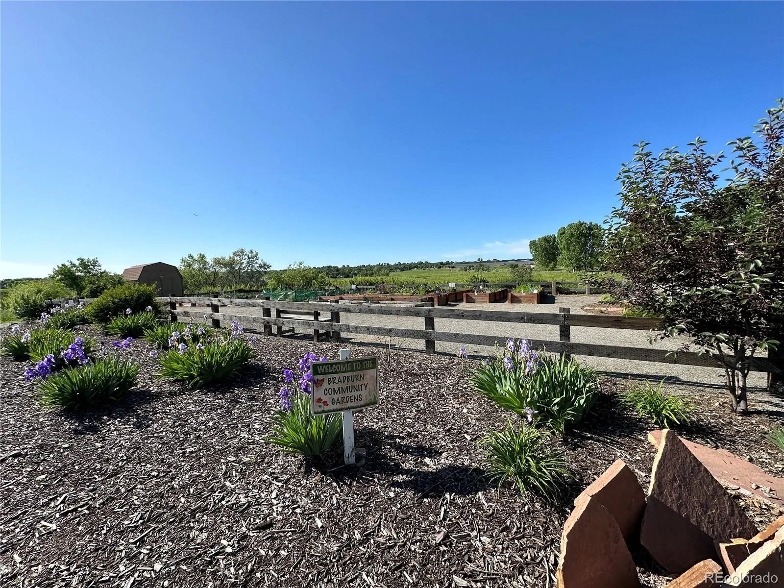 11825 Bradburn Boulevard Westminster CO 80031 | MLS #REC2430966 08062026133828 1600 31