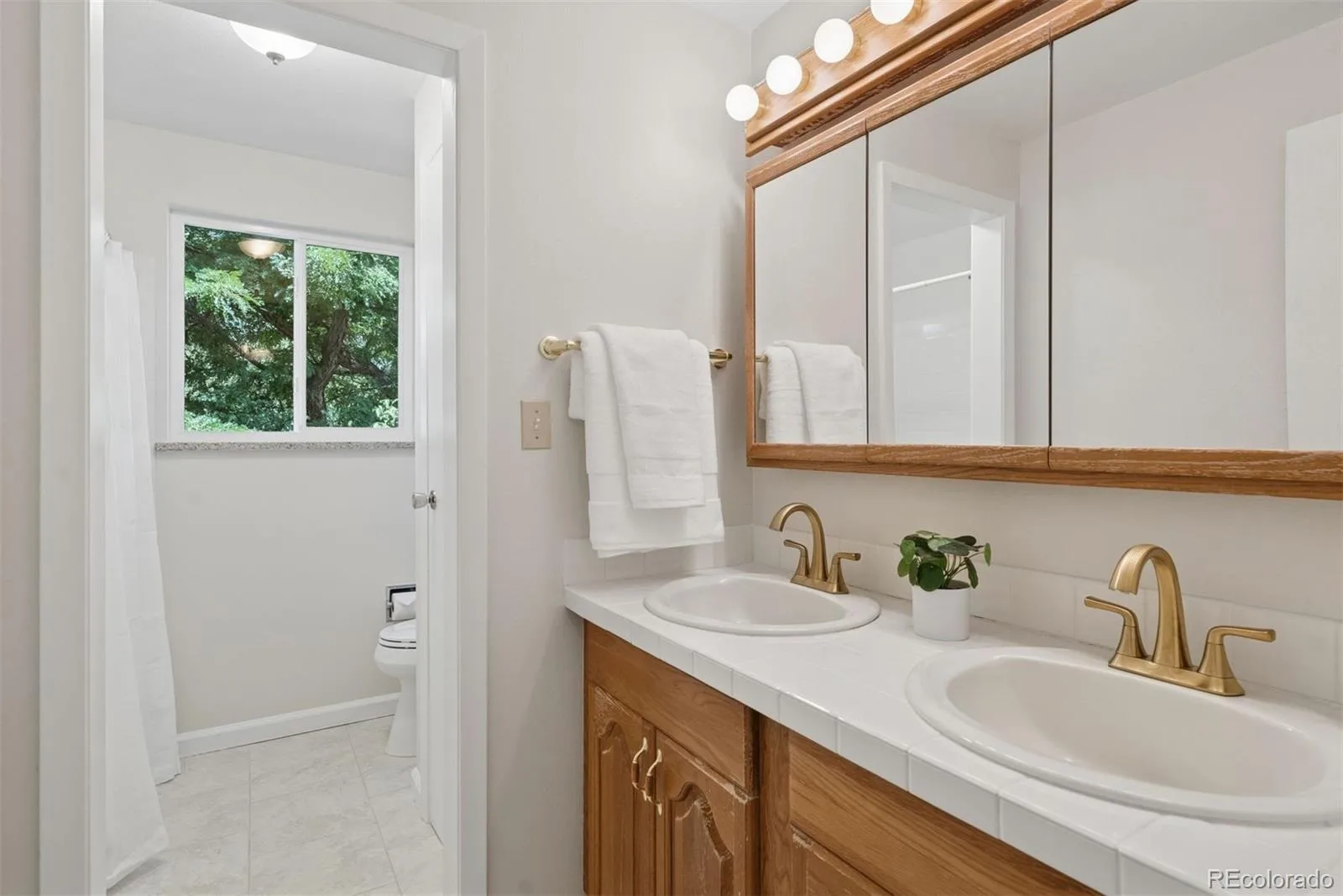 6256 S Cook Street Centennial CO 80121 | MLS #REC2431645 08232026182606 1600 24