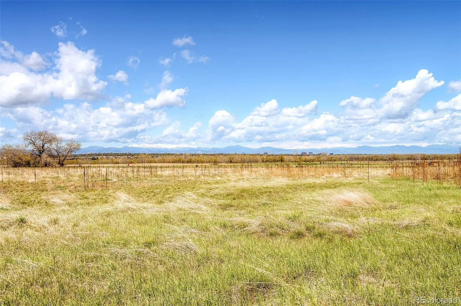 11703 E Cornell Circle Aurora CO 80014 | MLS #REC2439932 08262026194717 1600 35