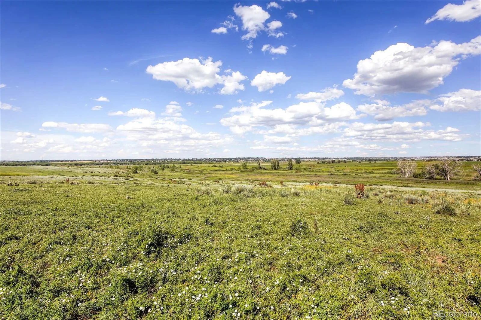 11703 E Cornell Circle Aurora CO 80014 | MLS #REC2439932 08262026194717 1600 36