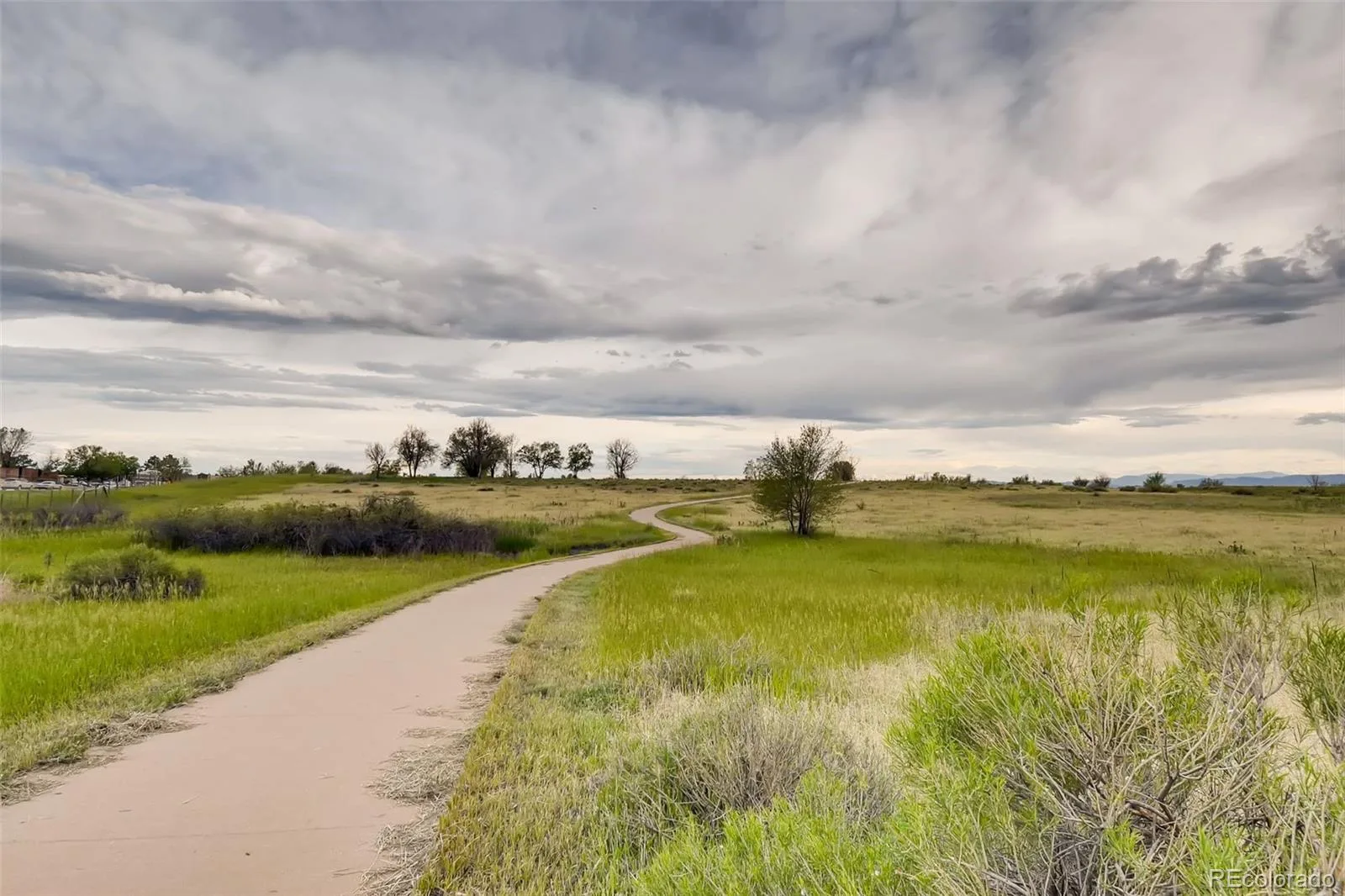 11703 E Cornell Circle Aurora CO 80014 | MLS #REC2439932 08262026194717 1600 38