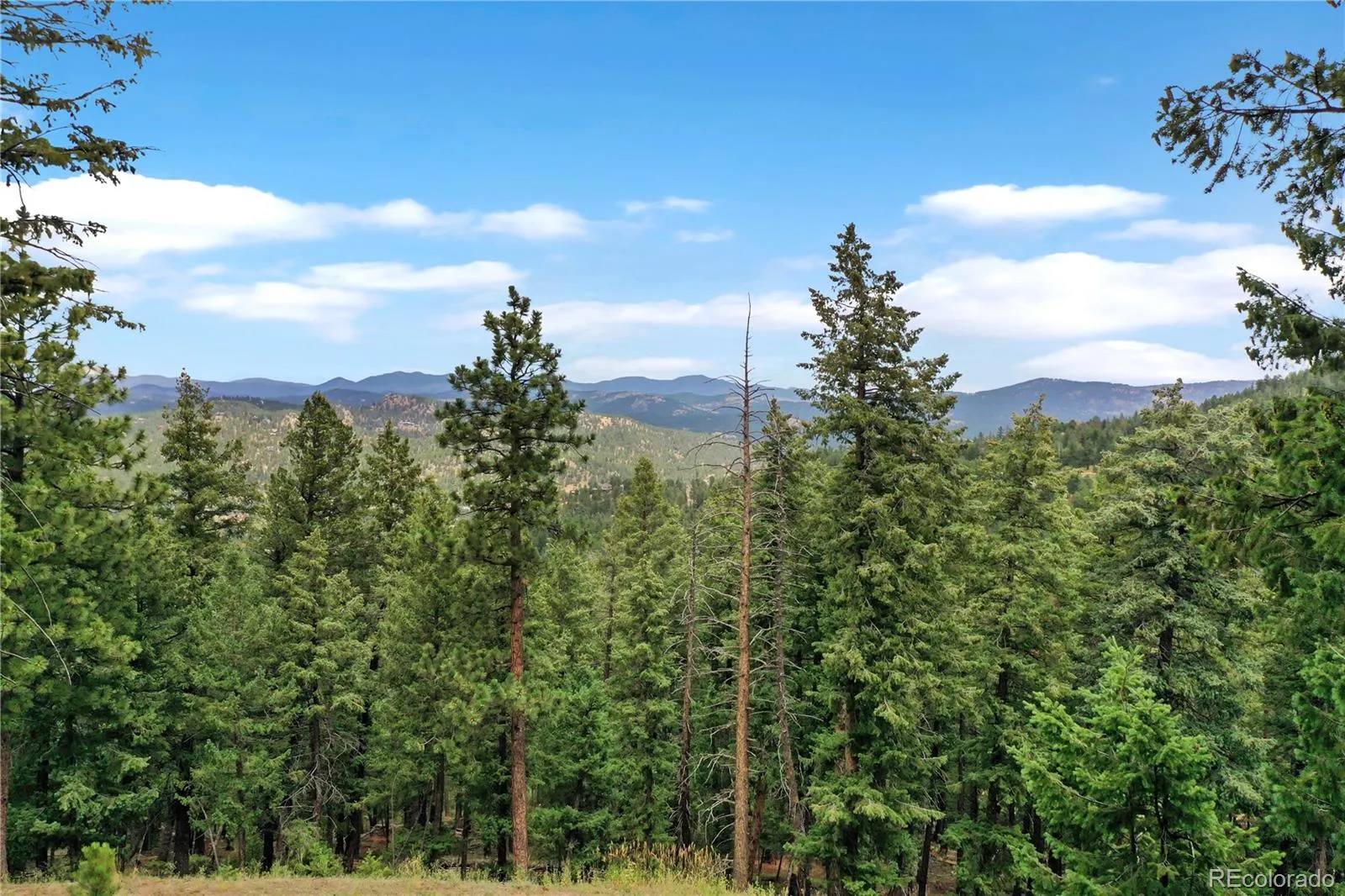 26367 Bell Park Drive Evergreen CO 80439 MLS #REC2442072 04162026061633 1600 12