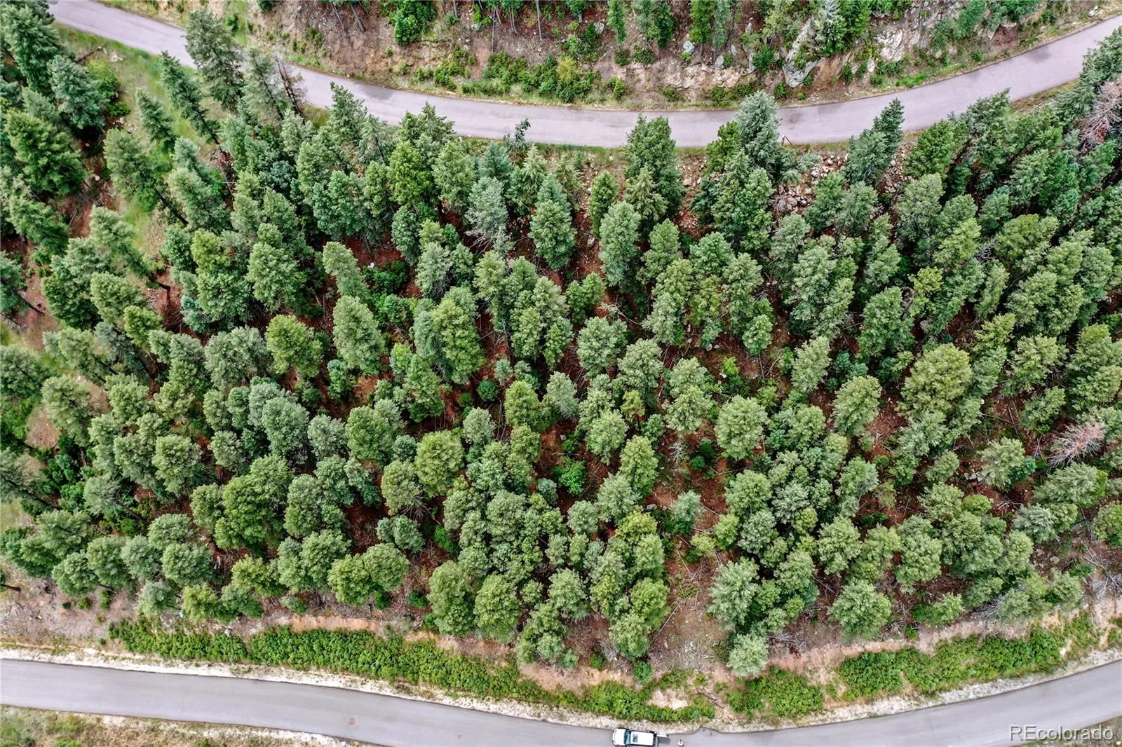 26367 Bell Park Drive Evergreen CO 80439 MLS #REC2442072 04162026061633 1600 13