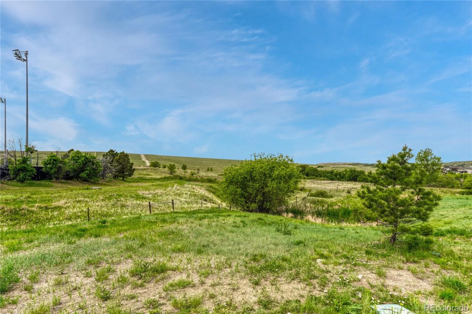 15048 Yellowthroat Street Parker CO 80134 MLS #REC2442590 07062026150654 1600 42