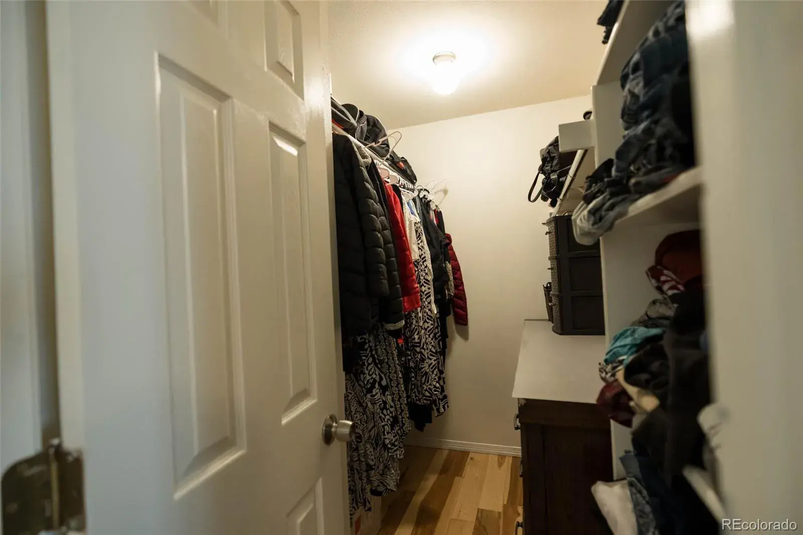 02172026001217 1600 24