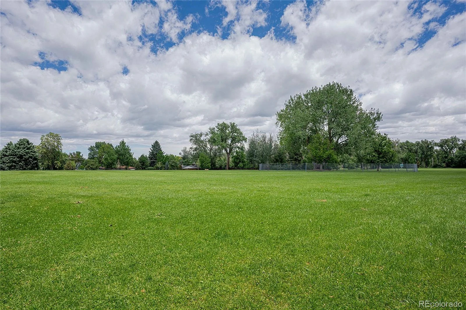 804 W Shepperd Avenue Littleton CO 80120 | MLS #REC2461038 09212026155155 1600 44