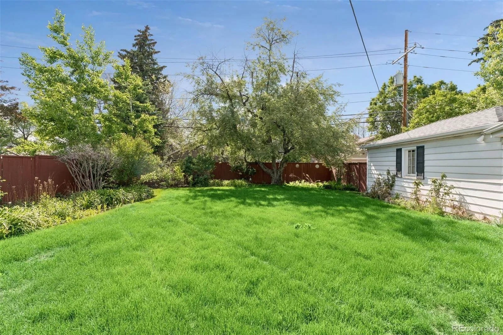 2345 S Monroe Street Denver CO 80210 MLS #REC2462030 05182026201815 1600 19