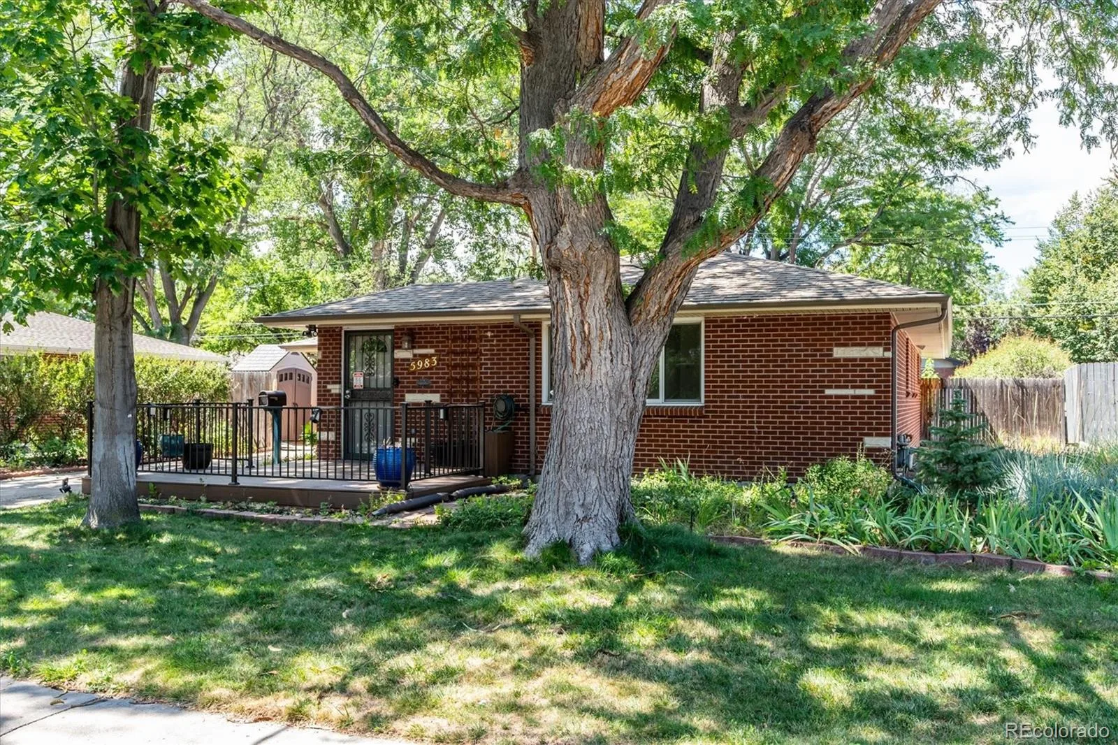 5983 Field Street Arvada CO 80004 | MLS #REC2468905 08262026165935 1600 2