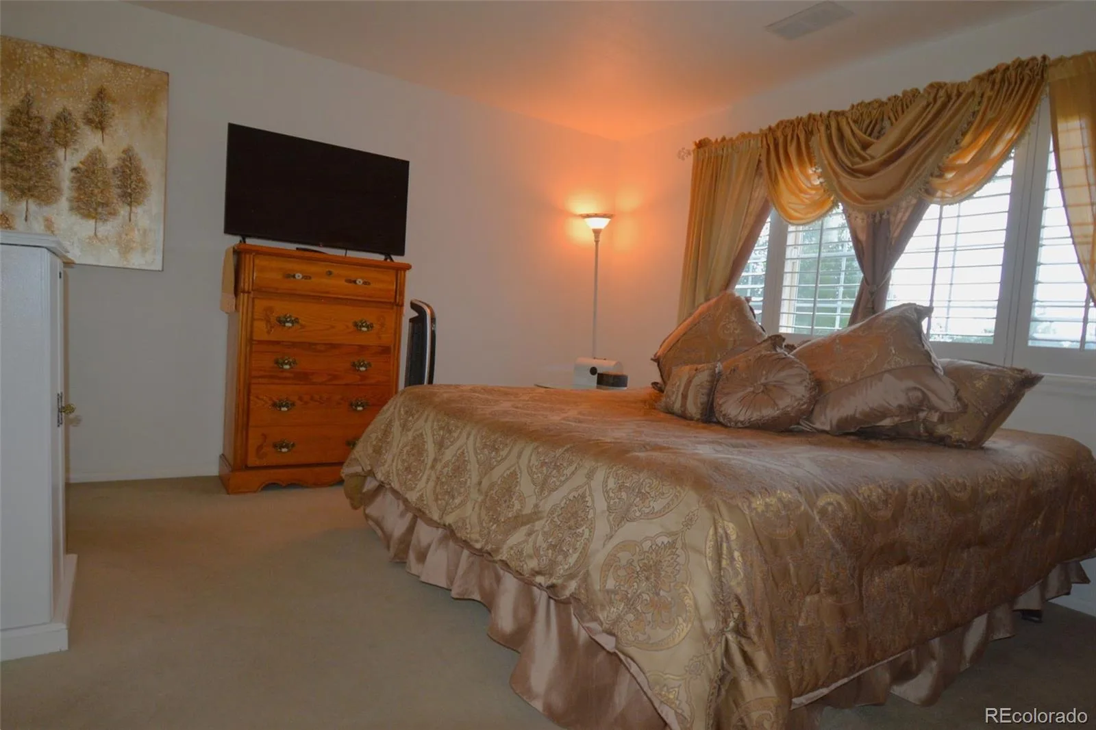 993 Parsons Avenue Castle Rock CO 80104 | MLS #REC2477031 09012026021515 1600 15