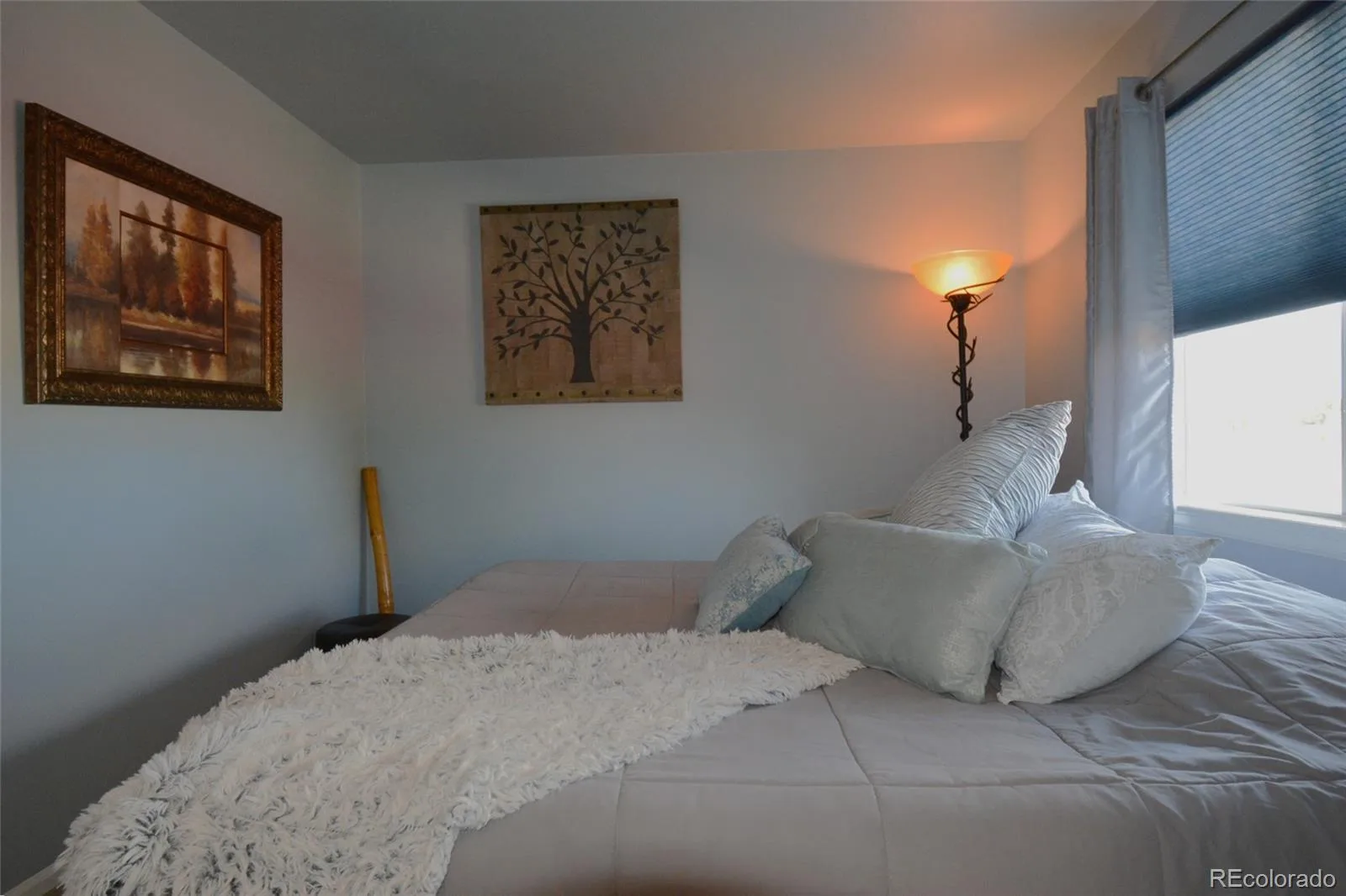 993 Parsons Avenue Castle Rock CO 80104 | MLS #REC2477031 09012026021515 1600 20