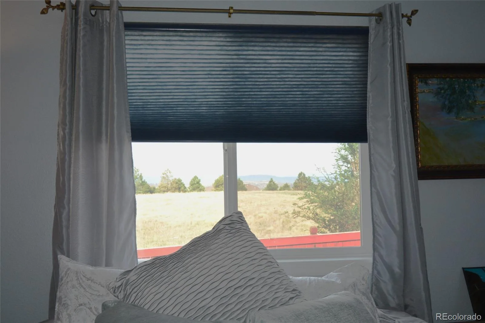 993 Parsons Avenue Castle Rock CO 80104 | MLS #REC2477031 09012026021515 1600 21