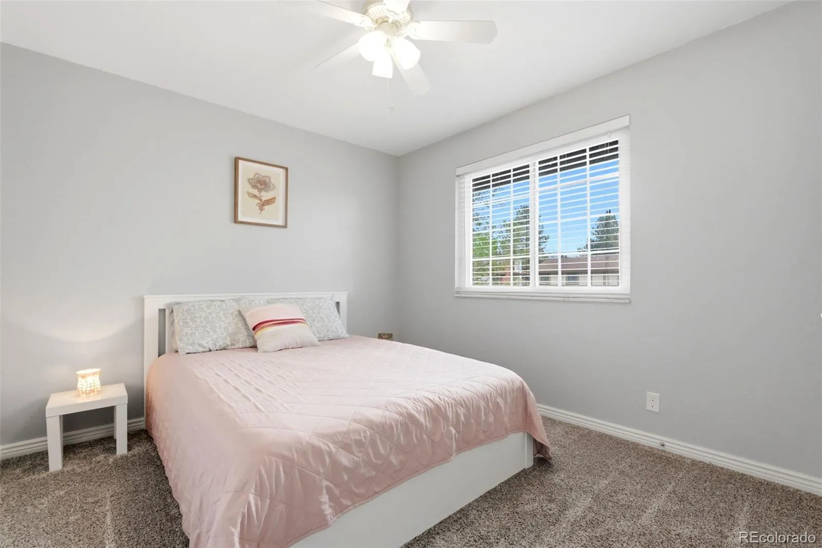 3877 S Hannibal Street Aurora CO 80013 MLS #REC2479028 05232026165359 1600 28