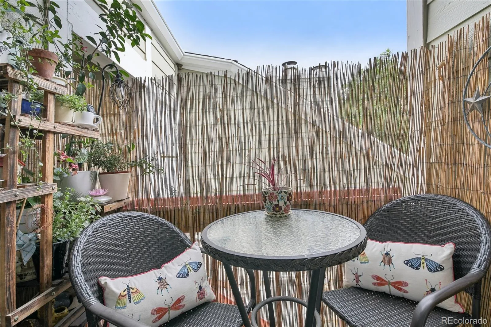 982 S Dearborn Way #18 Aurora CO 80012 | MLS #REC2479383 08152026194726 1600 10