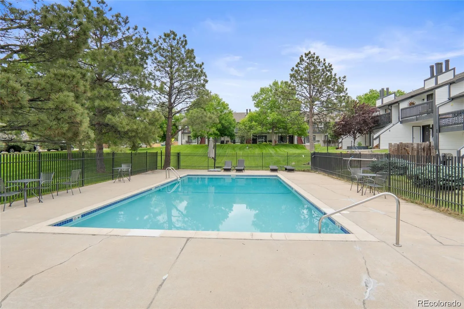 532 Oakwood Drive #D103 Castle Rock CO 80104 | MLS #REC2480623 08202026202138 1600 16