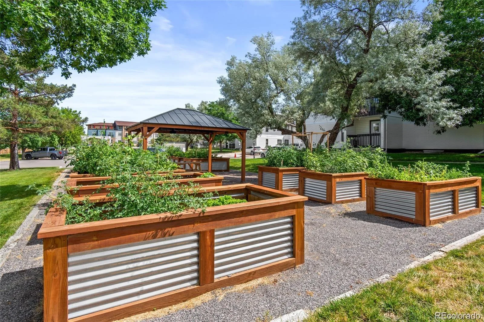 532 Oakwood Drive #D103 Castle Rock CO 80104 | MLS #REC2480623 08202026202138 1600 17