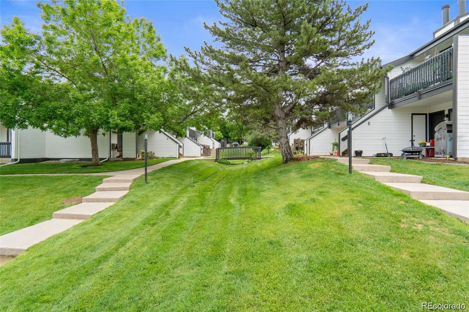 532 Oakwood Drive #D103 Castle Rock CO 80104 | MLS #REC2480623 08202026202138 1600 19