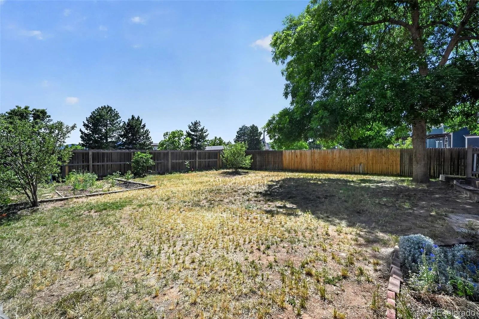 11474 W Fair Drive Littleton CO 80127 | MLS #REC2488154 06172026162248 1600 33
