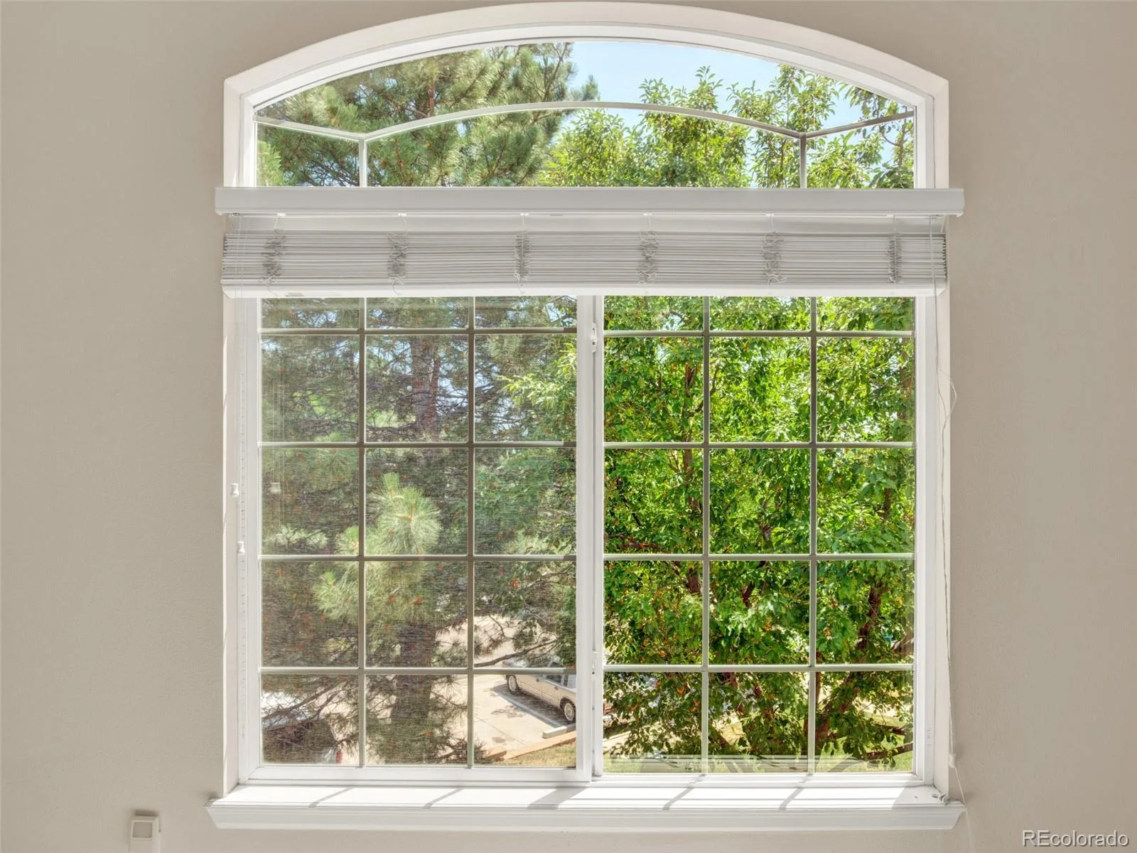 9108 W Phillips Drive Littleton CO 80128 | MLS #REC2490480 08202026183214 1600 21