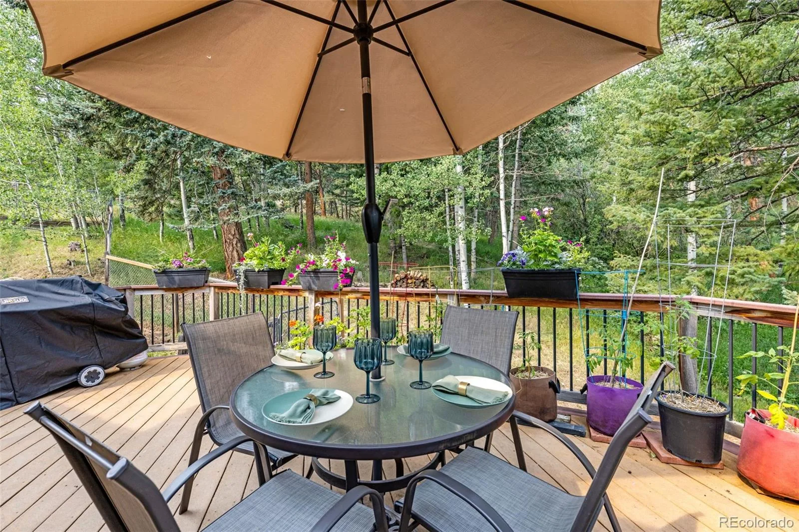 31547 Niakwa Road Evergreen CO 80439 | MLS #REC2500300 08042026222901 1600 37