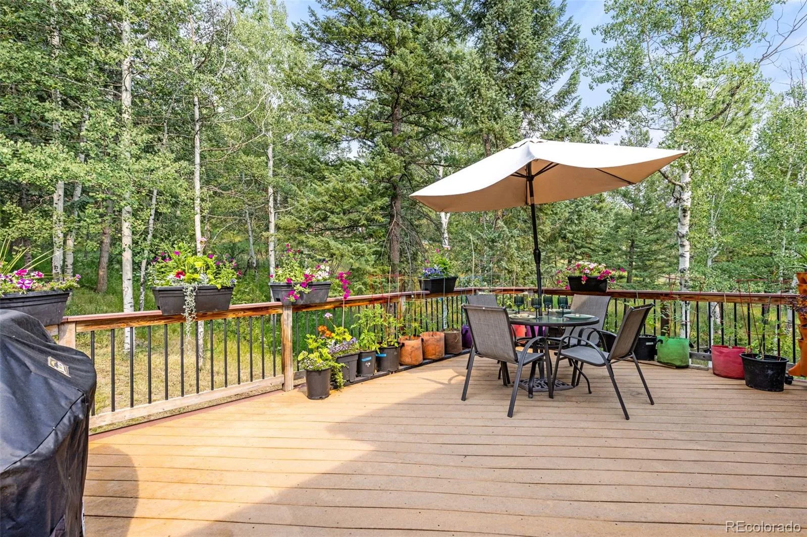 31547 Niakwa Road Evergreen CO 80439 | MLS #REC2500300 08042026222901 1600 4