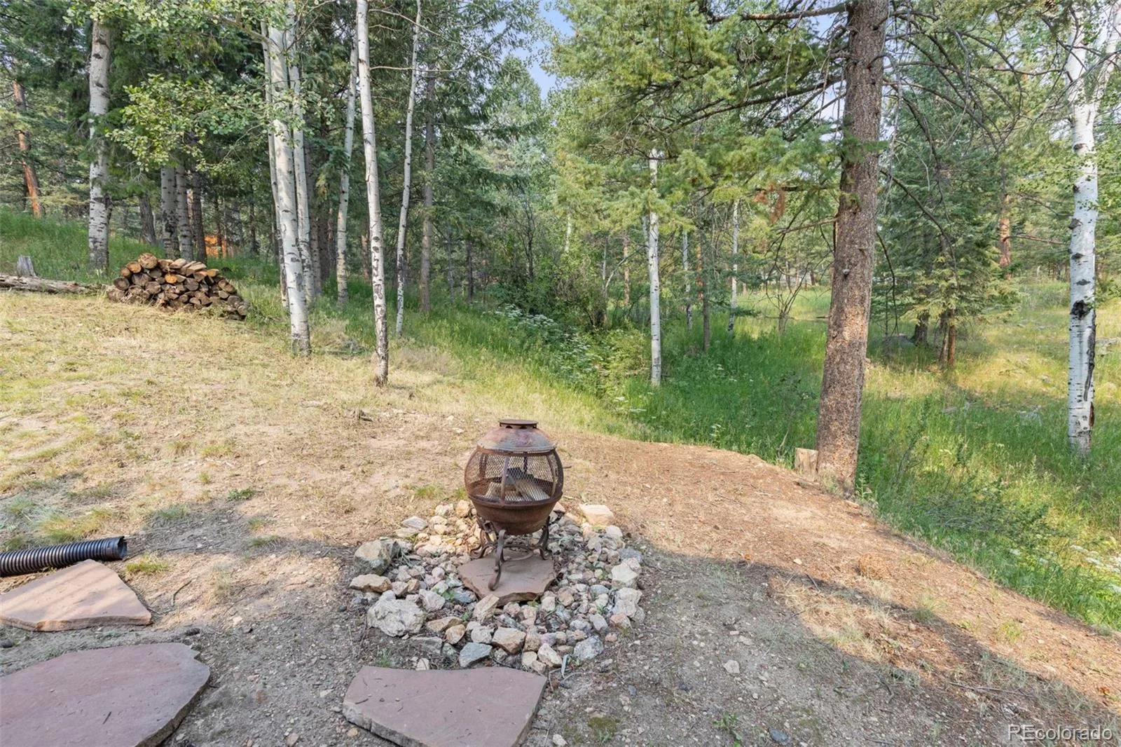 31547 Niakwa Road Evergreen CO 80439 | MLS #REC2500300 08042026222901 1600 41