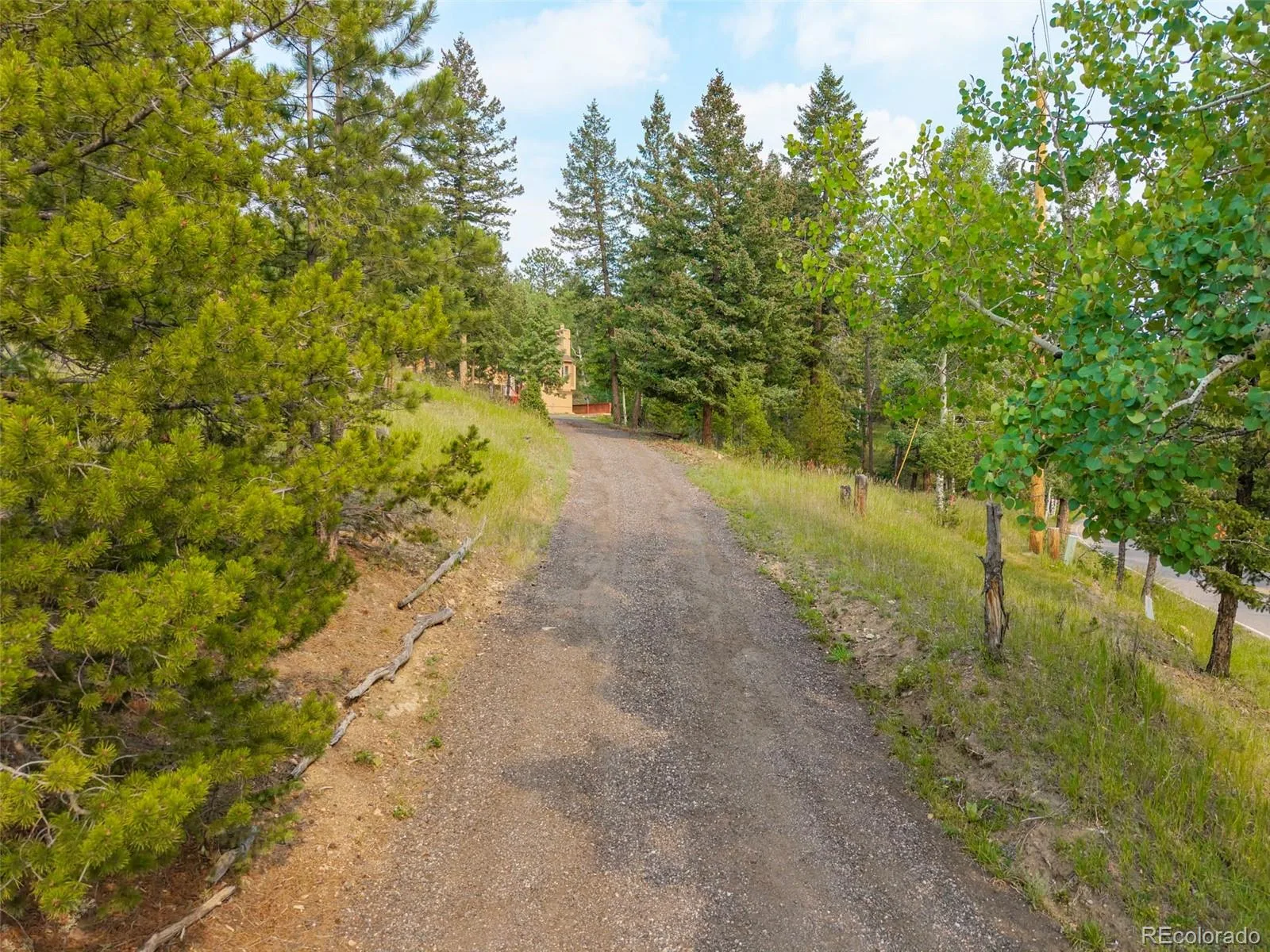 31547 Niakwa Road Evergreen CO 80439 | MLS #REC2500300 08042026222901 1600 46