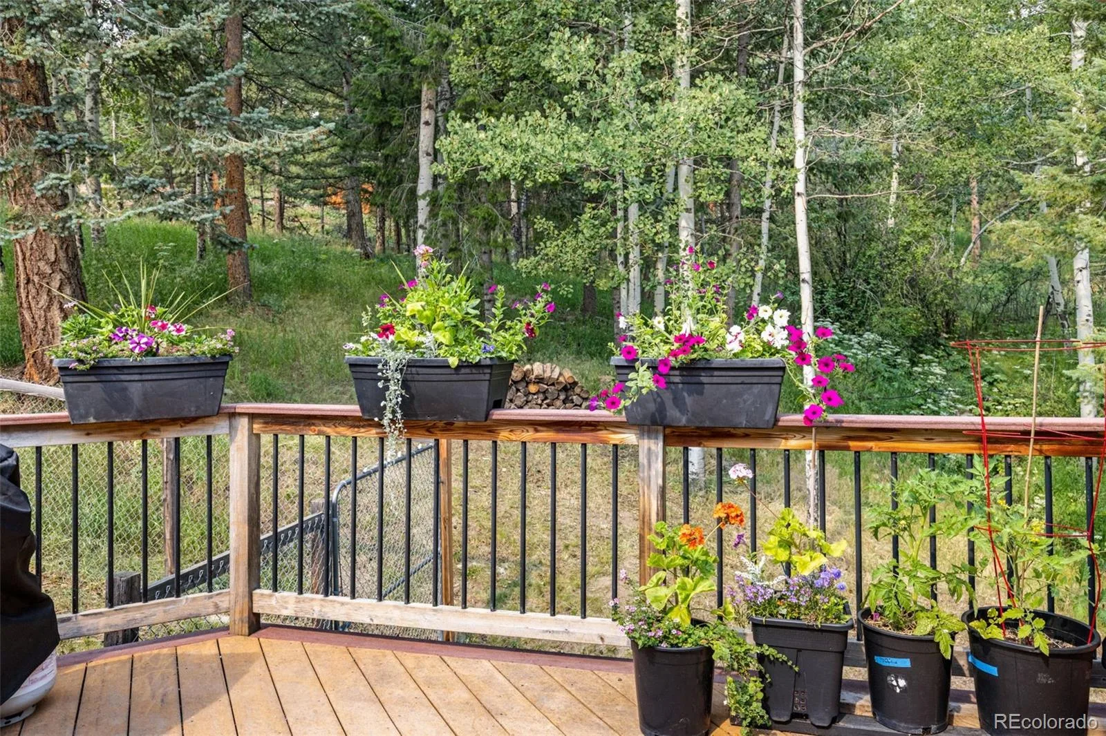 31547 Niakwa Road Evergreen CO 80439 | MLS #REC2500300 08042026222901 1600 5