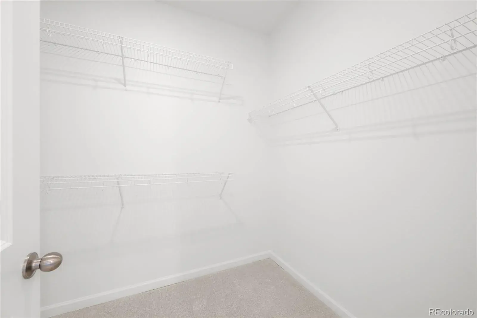 01312026001621 1600 20