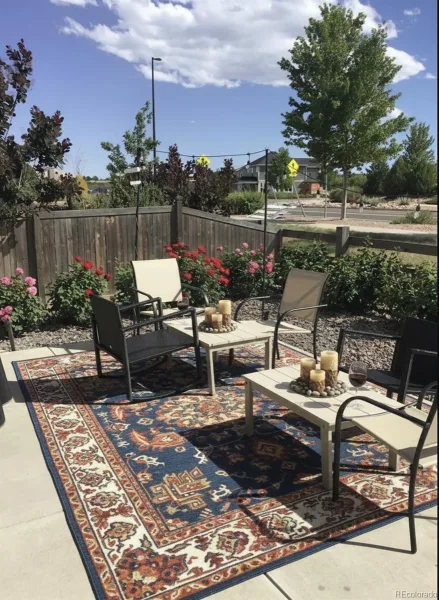 1170 Mcmurdo Circle Castle Rock CO 80108 | MLS #REC2501381 08212026020318 800 28