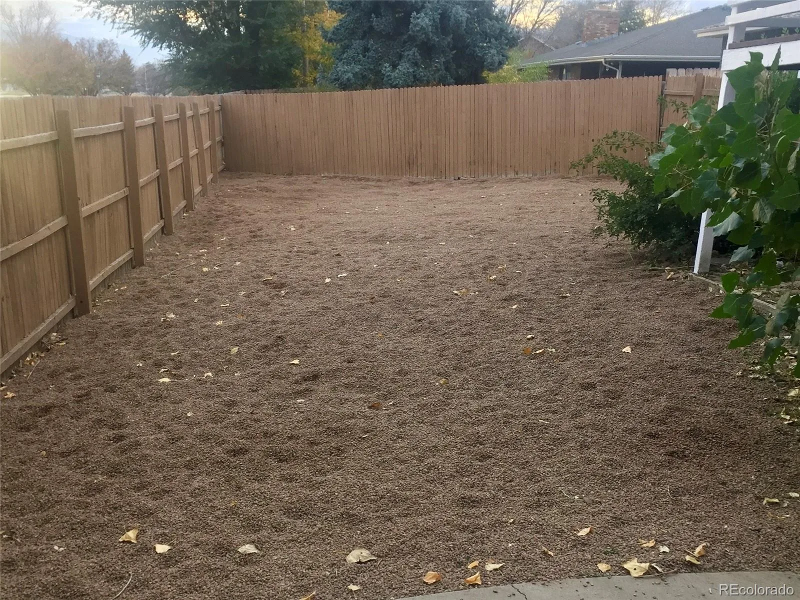 1005 Harmon Place Longmont CO 80501 MLS #REC2504605 06122026065257 1600 27