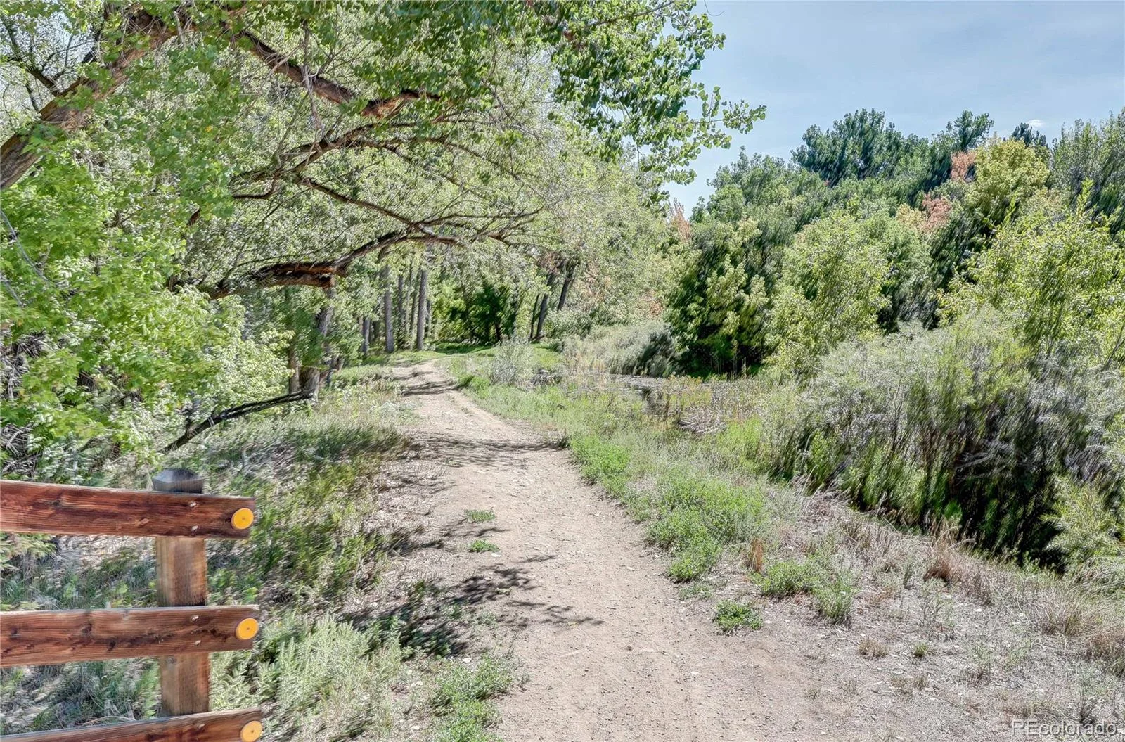 9756 W Cornell Place Lakewood CO 80227 | MLS #REC2505415 09232026190837 1600 23