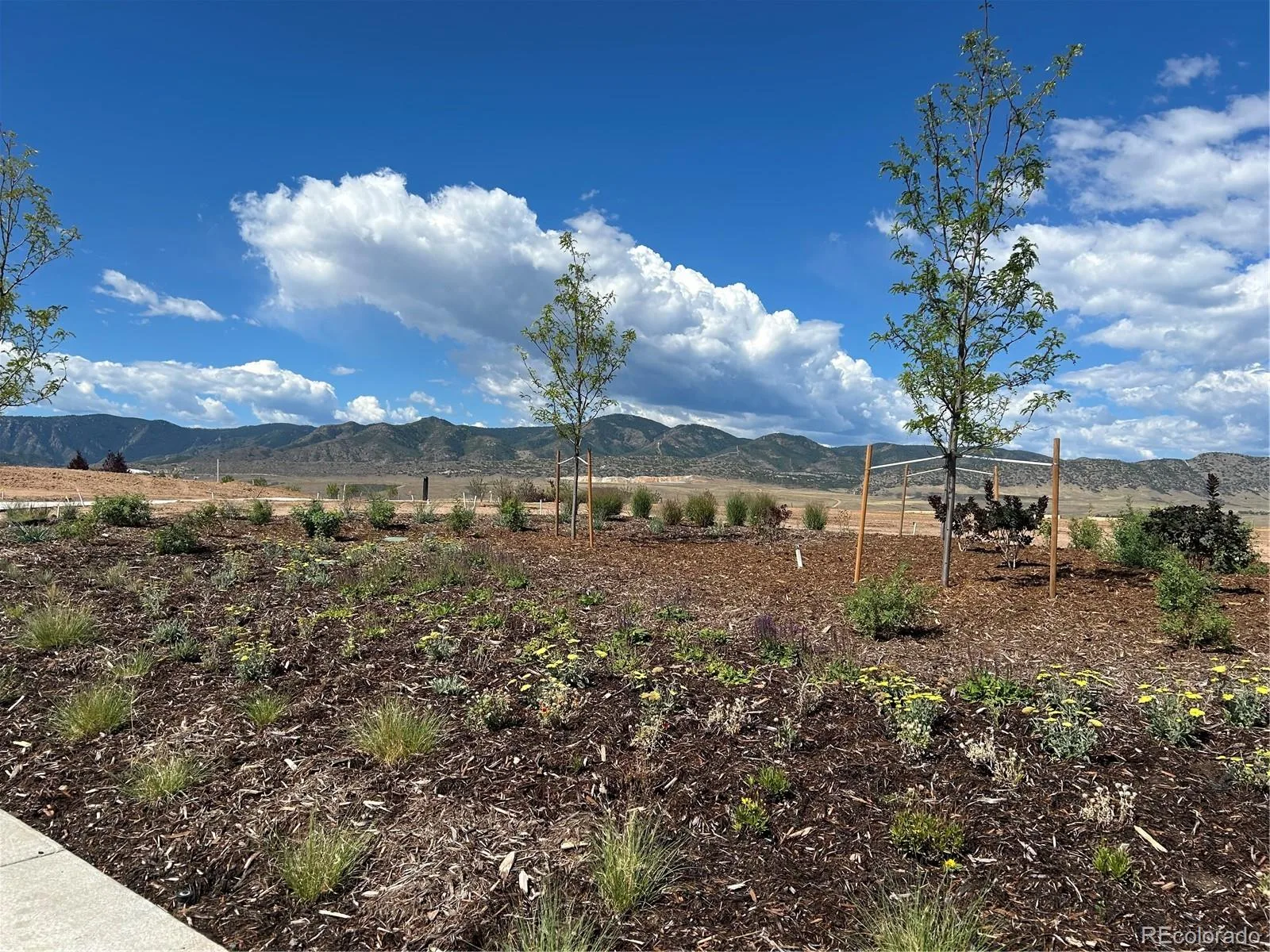 9204 Star Fall Circle Littleton CO 80125 | MLS #REC2506905 08312026234440 1600 35