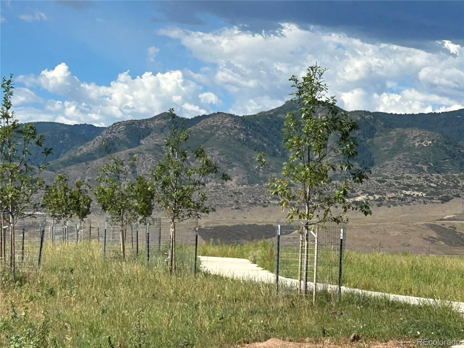 9204 Star Fall Circle Littleton CO 80125 | MLS #REC2506905 08312026234440 1600 36
