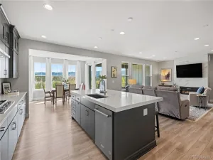 9204 Star Fall Circle Littleton CO 80125 | MLS #REC2506905 08312026234440 300 0