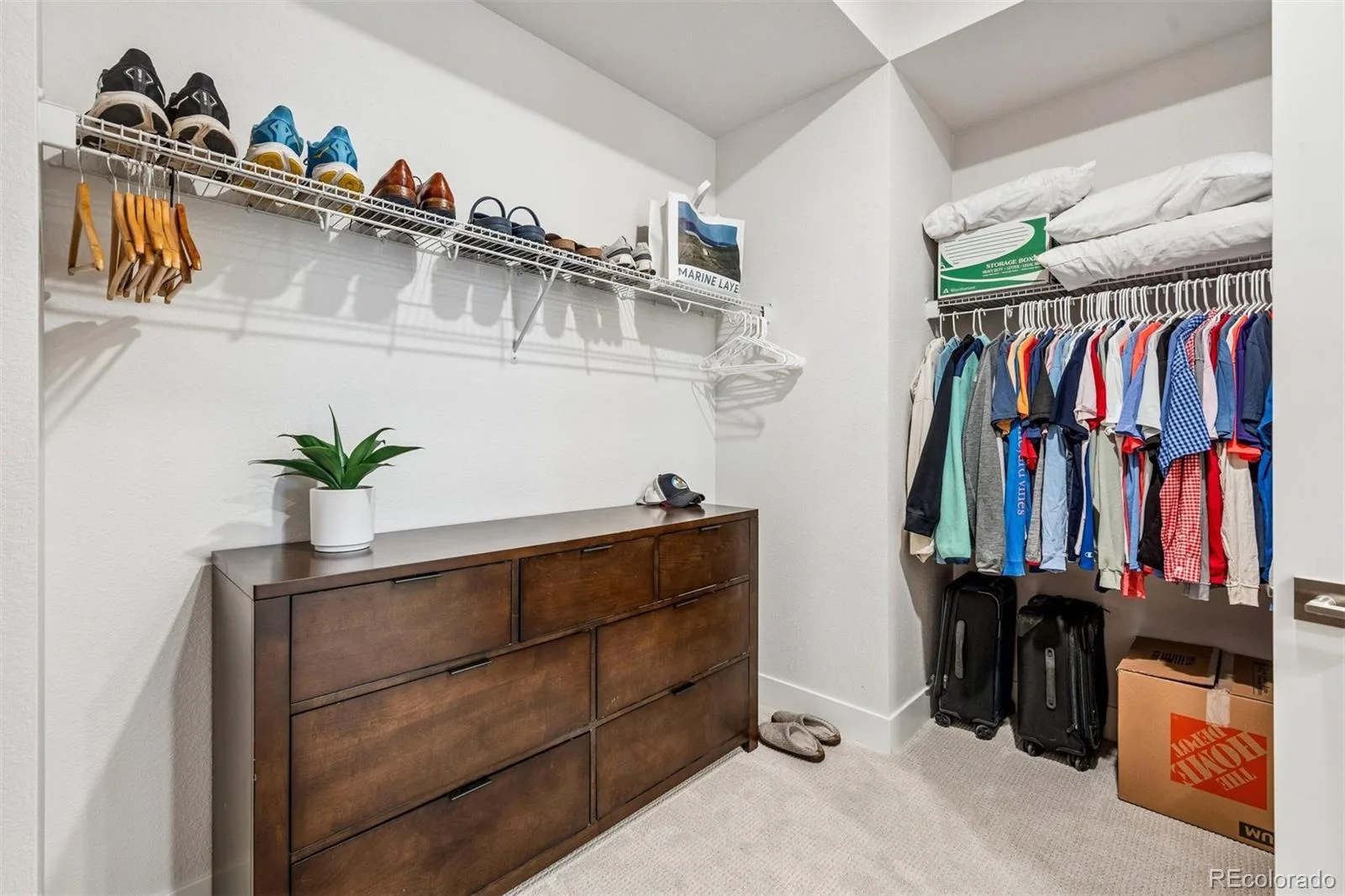 5884 Boston Street Denver CO 80238 | MLS #REC2516812 08222026232247 1600 22