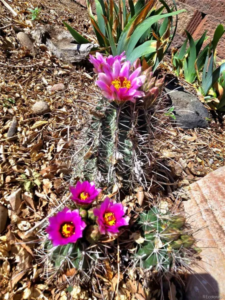 04132026210619 800 35