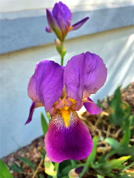 04132026210619 800 36