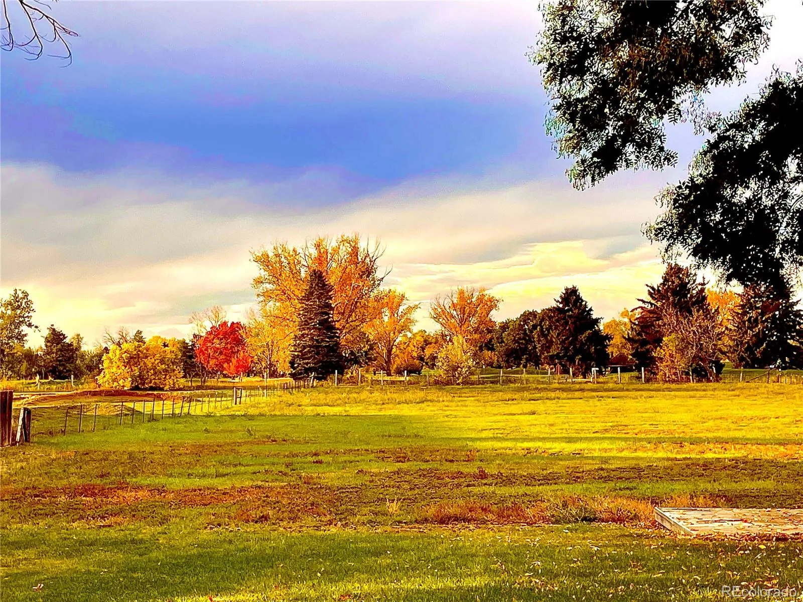8690 W Jefferson Avenue Lakewood CO 80235 | MLS #REC2519682 08122026152639 1600 36