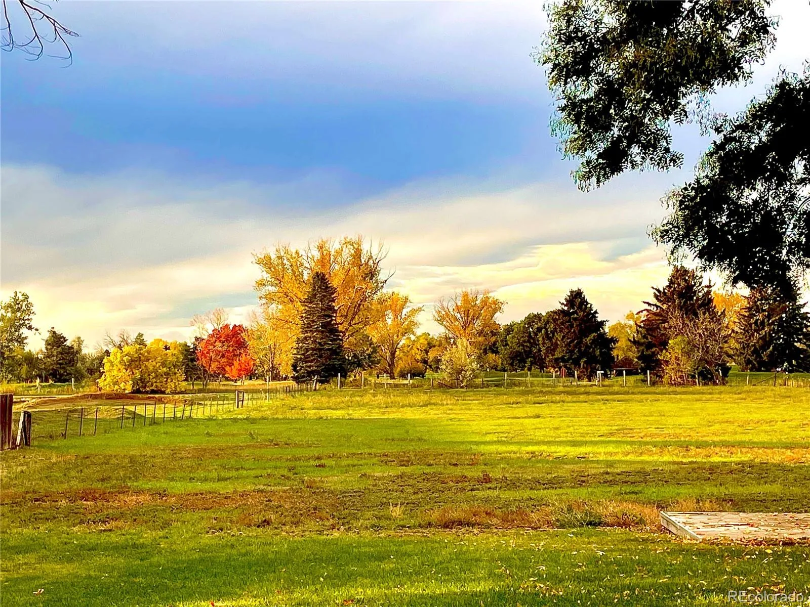 8690 W Jefferson Avenue Lakewood CO 80235 | MLS #REC2519682 08122026152639 1600 39