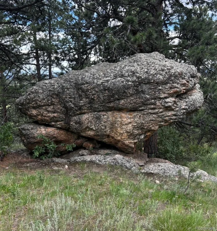 5607 Crawford Gulch Road Golden CO 80403 | MLS #REC2528777 08272026130406 1024 43