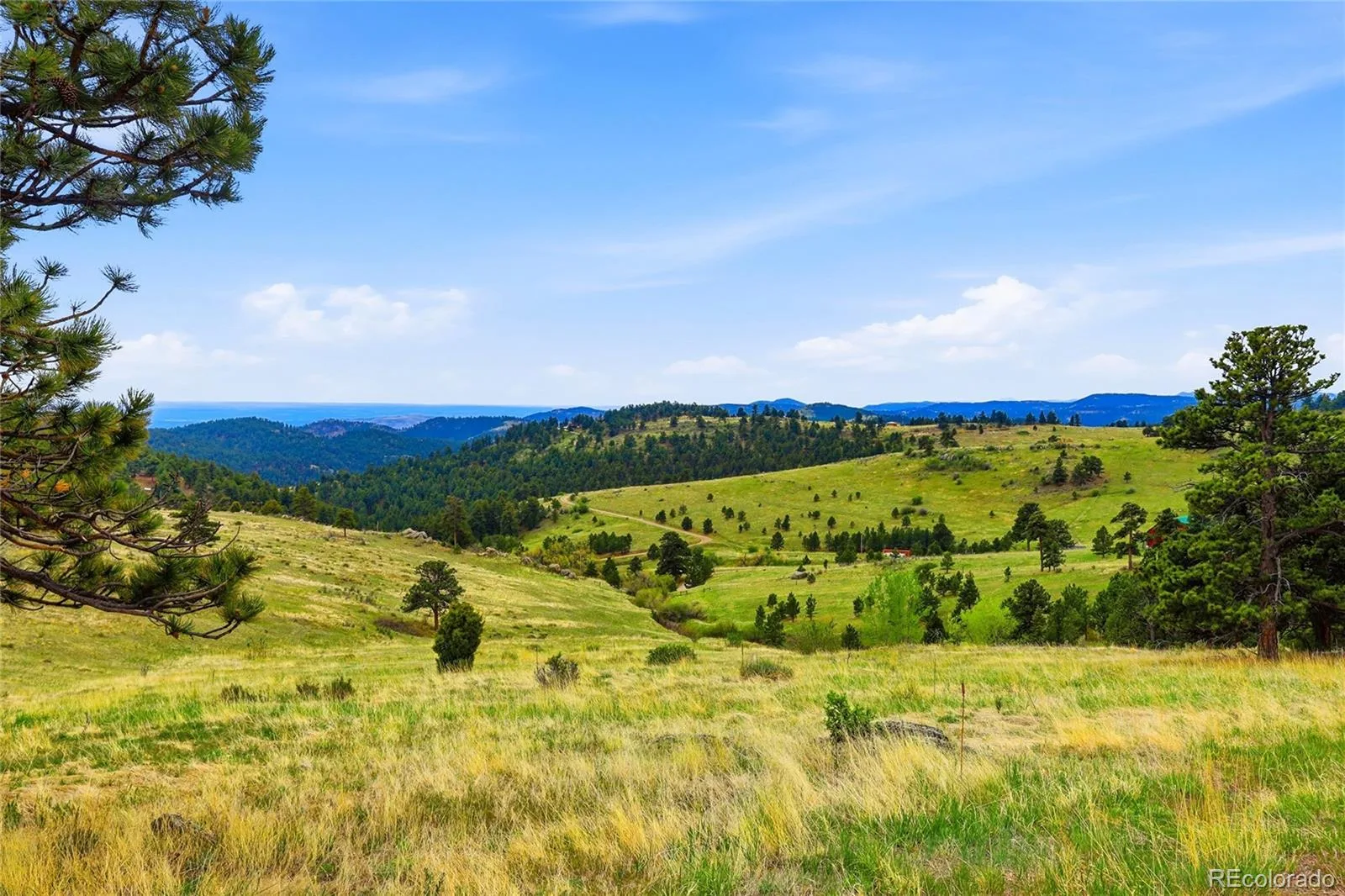 5607 Crawford Gulch Road Golden CO 80403 | MLS #REC2528777 08272026130406 1600 12