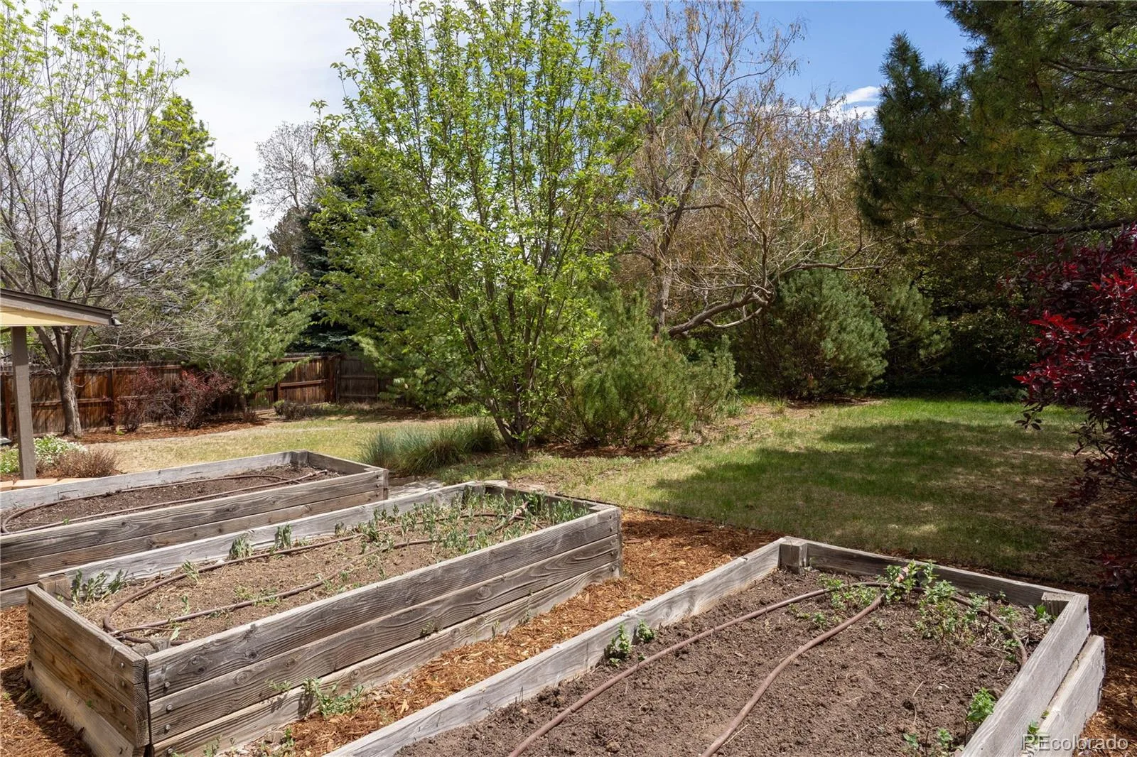 10650 W Berry Drive Littleton CO 80127 | MLS #REC2529222 07282026042459 1600 29