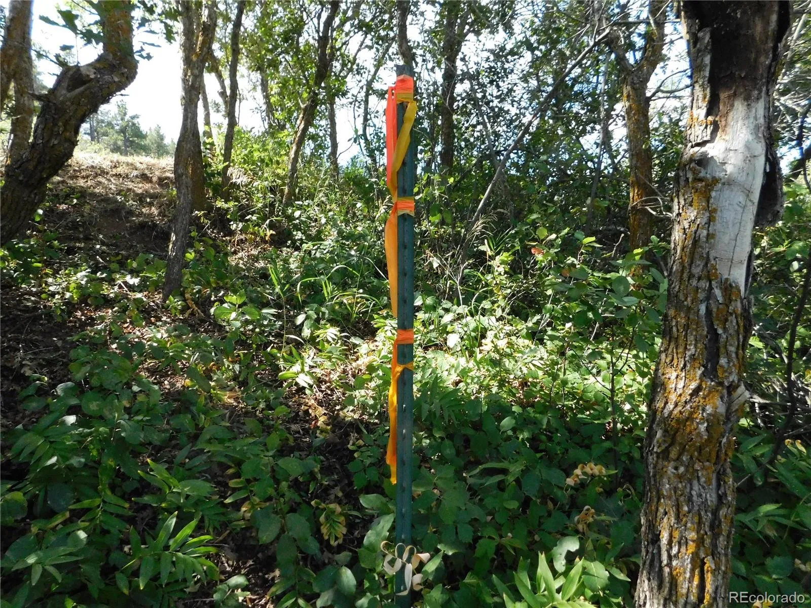 08242026212806 1600 16