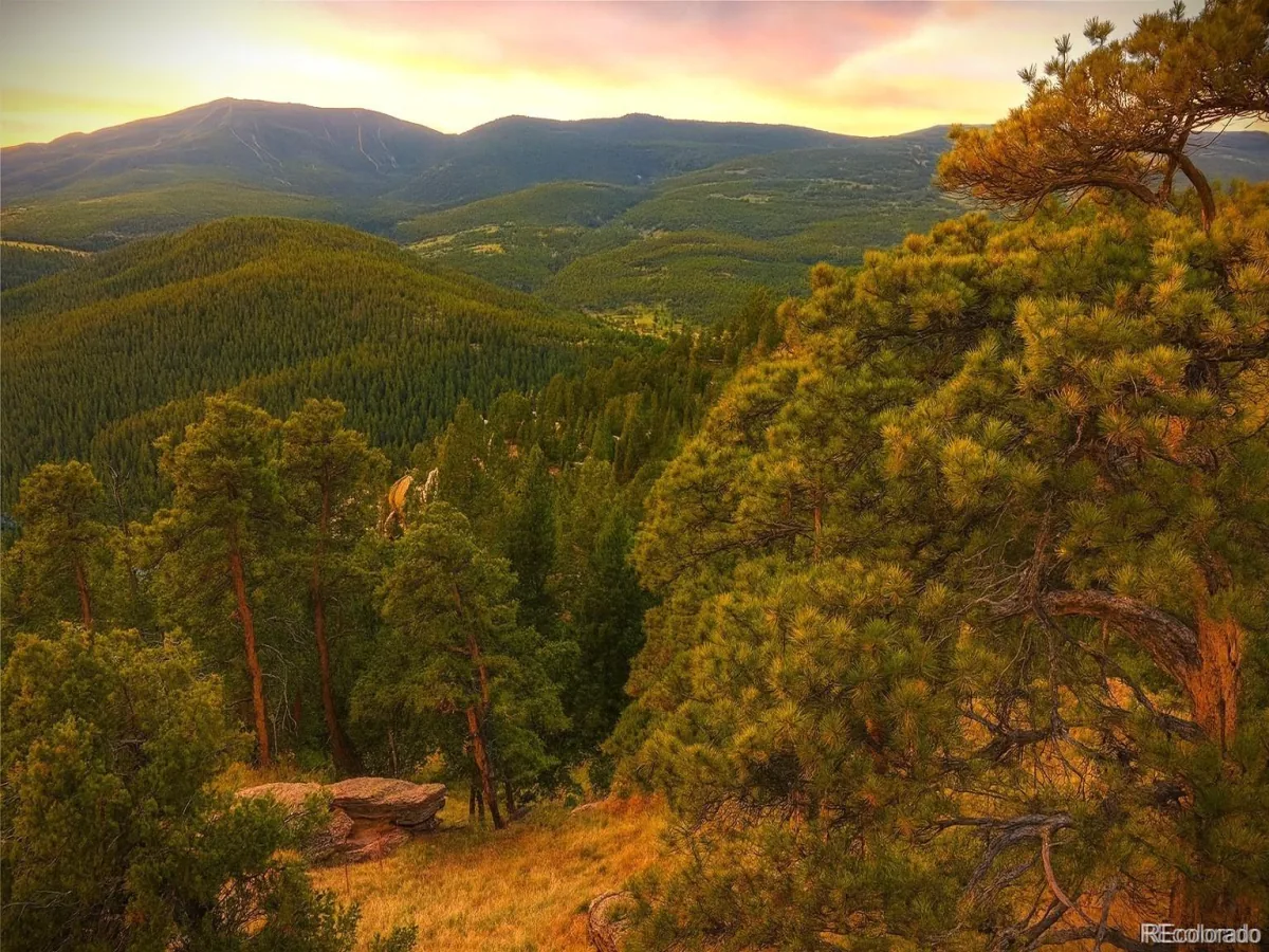 32553 Lodgepole Circle Evergreen CO 80439 | MLS #REC2531308 08252026163942 1200 1